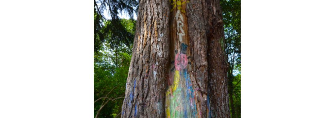 PGI - HJ Les Bourdettes - l'arbre à messages