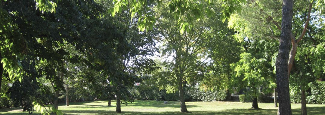 Les allées et jardins du DITEP "Les Ormes"