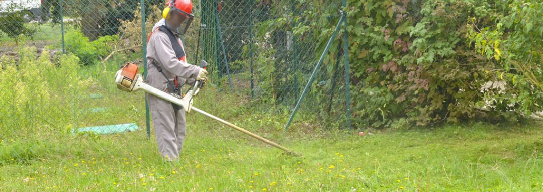 Pôle Adultes Henri Cros - FO Les Cèdres : espaces verts, potager et serres