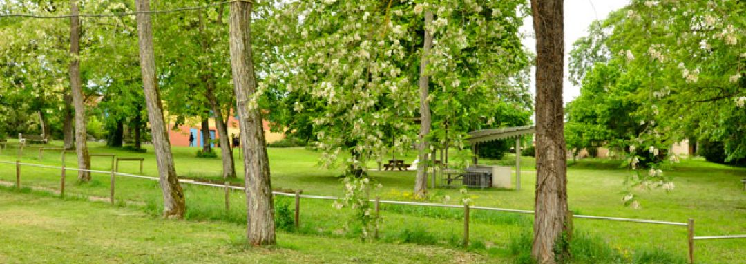 PA31 - FV Les MARRONNIERS : le parc et son parcours santé