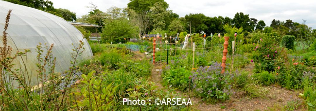 PA31 - FV Les MARRONNIERS : atelier jardinage